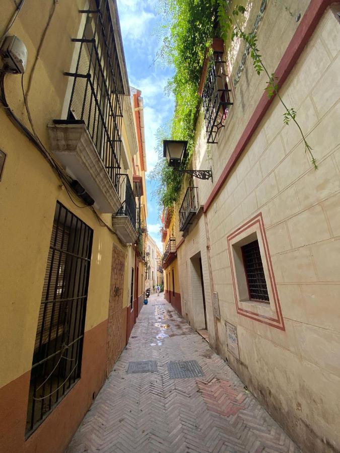 Fantastico Duplex Corazon De La Juderia Sevilla エクステリア 写真